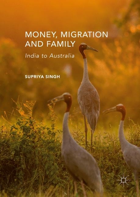 Money, Migration, and Family main product photo