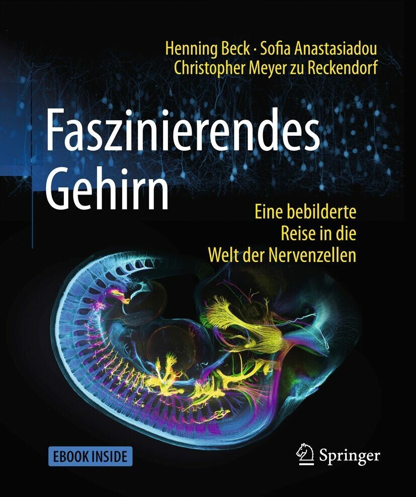 Faszinierendes Gehirn main product photo