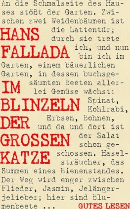 Im Blinzeln der großen Katze