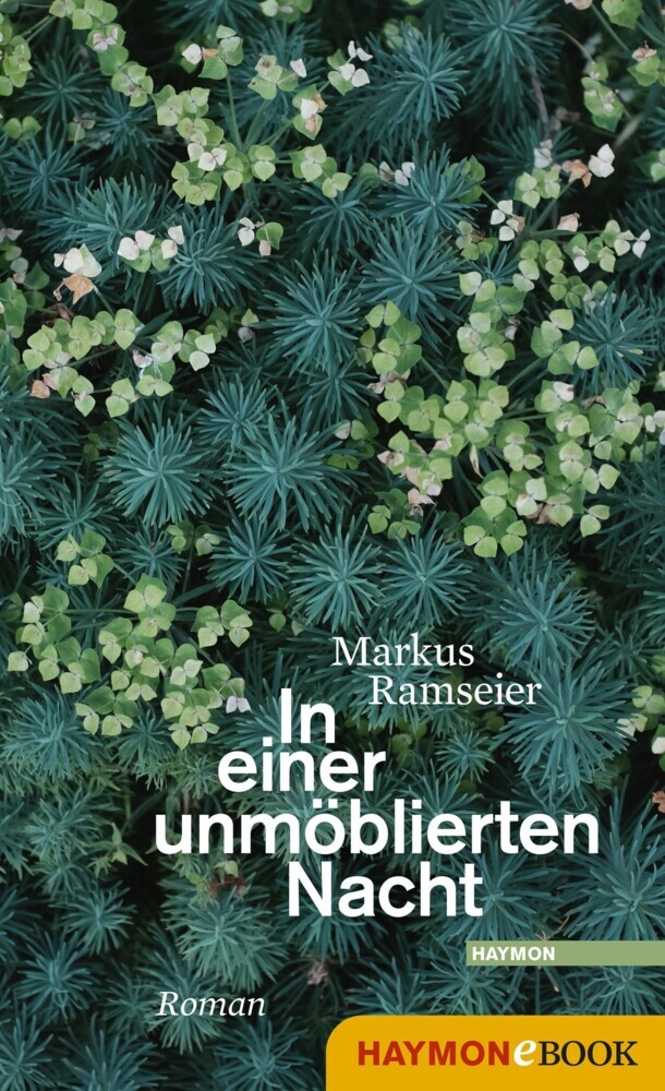 In einer unmöblierten Nacht main product photo