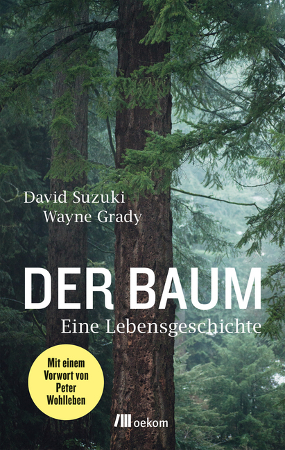 Der Baum main product photo