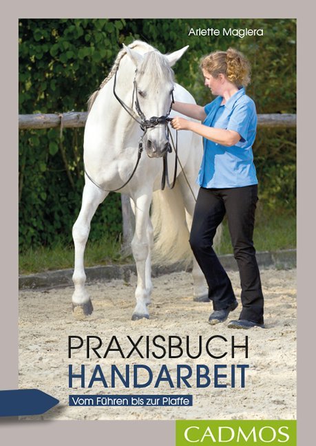 Praxisbuch Handarbeit main product photo