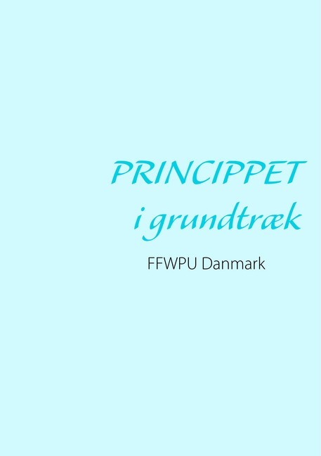 Princippet i grundtræk main product photo