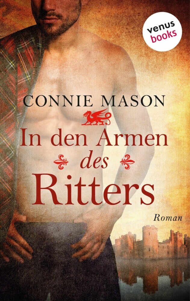 In den Armen des Ritters main product photo