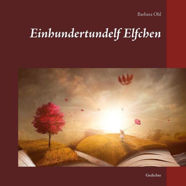 Einhundertundelf Elfchen main product photo