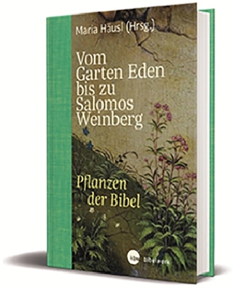 Vom Garten Eden bis zu Salomos Weinberg main product photo