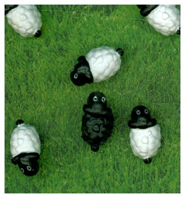 Magnete SHEEP 6er Set weiss/schwarz main product photo