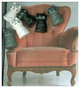 Magnete CAT 6er Set assortiert