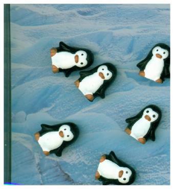 Magnete PINGU 6er Set weiss/schwarz