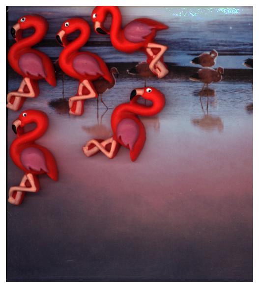 Magnete FLAMINGO 5er Set pink main product photo
