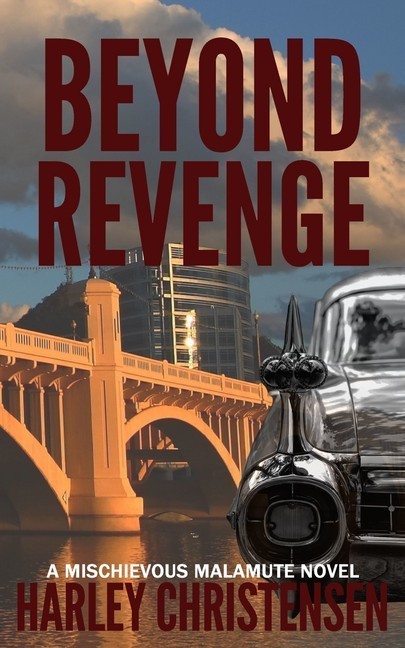Beyond Revenge main product photo