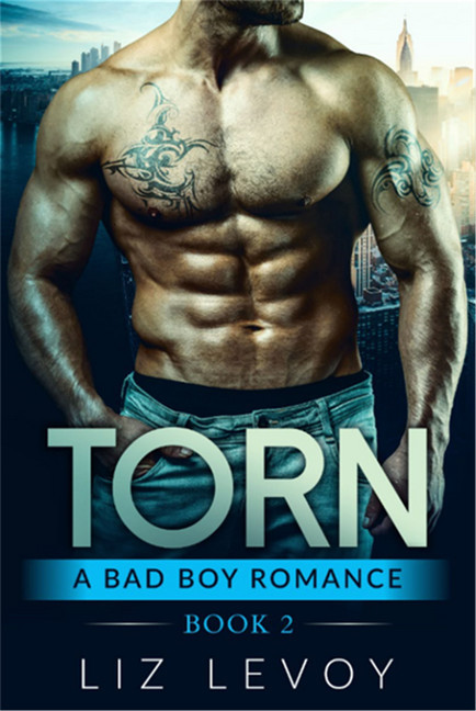 Torn 2 main product photo
