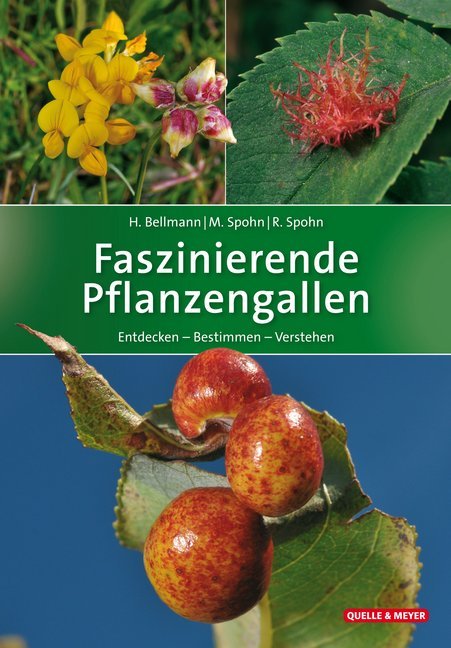 Faszinierende Pflanzengallen main product photo