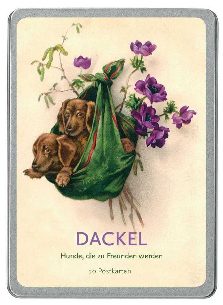 Dackel main product photo