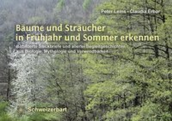 Bäume und Sträucher in Frühjahr und Sommer erkennen main product photo