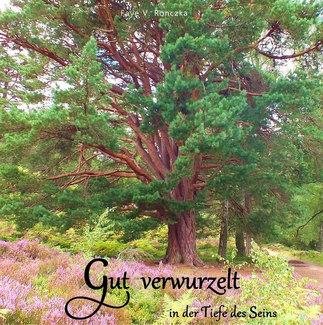 Gut verwurzelt main product photo