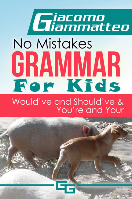 No Mistakes Grammar for Kids, Volume IV main product photo