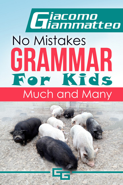 No Mistakes Grammar for Kids main product photo
