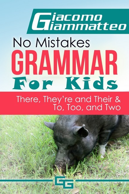 No Mistakes Grammar for Kids, Volume V main product photo