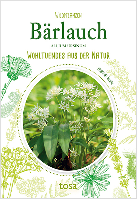 Bärlauch - Allium Ursinum main product photo