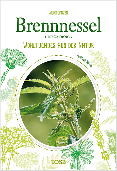 Brennessel - Urtica Dioica main product photo