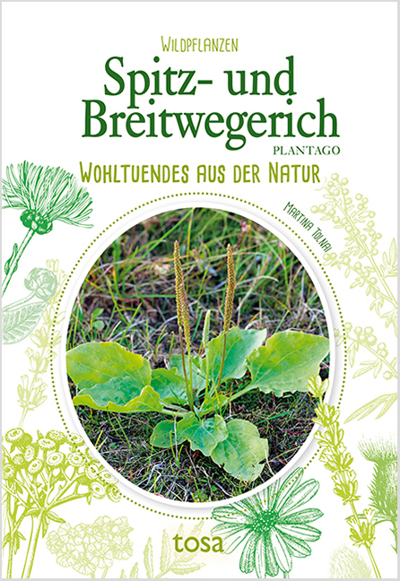 Spitz- und Breitwegerich - Plantago main product photo