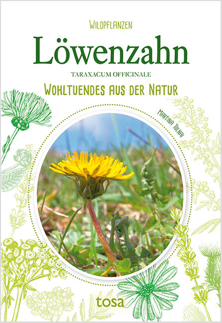 Löwenzahn - Taraxacum Officinale main product photo