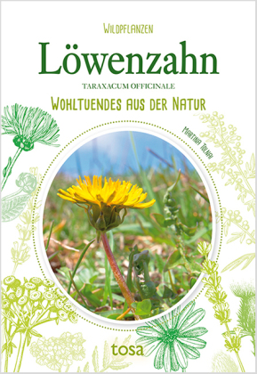 Löwenzahn - Taraxacum Officinale