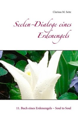 Seelen-Dialoge eines Erdenengels