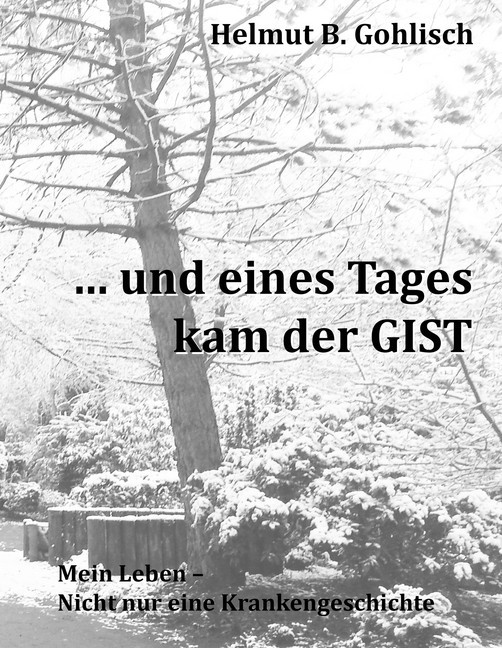 ... und eines Tages kam der GIST main product photo