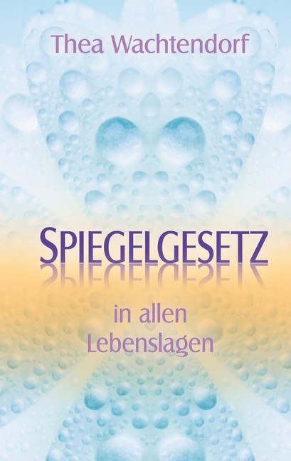 Spiegelgesetz in allen Lebenslagen main product photo