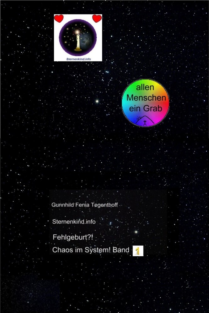 Fehlgeburt? Chaos im System! Band 1 main product photo