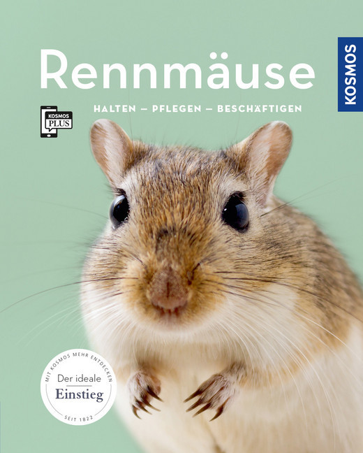 Rennmäuse main product photo