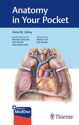 Anatomy in Your Pocket, Anatomy Flash Cards