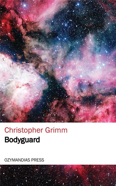 Bodyguard main product photo