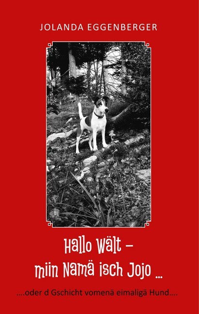 Hallo Wält - miin Namä isch Jojo ... main product photo