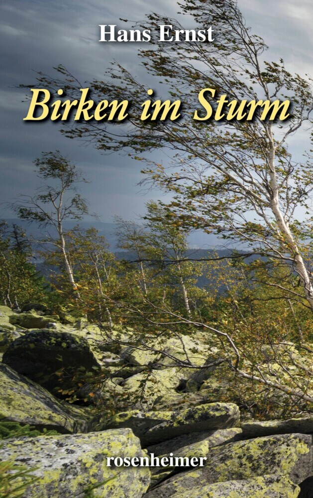 Birken im Sturm main product photo