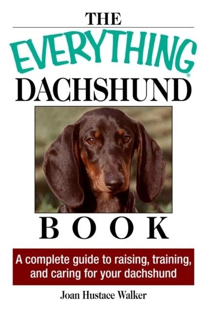 Everything Daschund Book main product photo