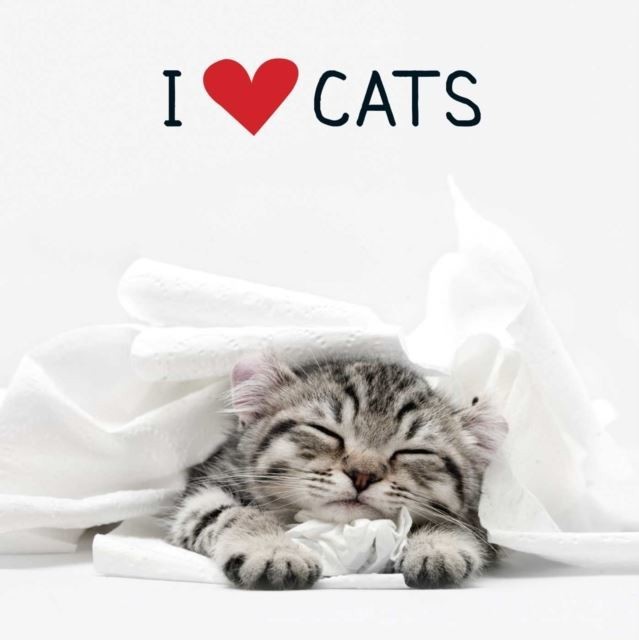 I Love Cats main product photo