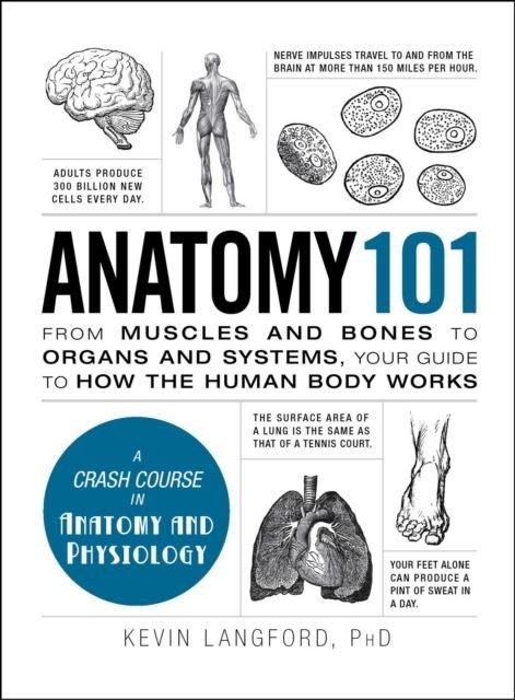 Anatomy 101 main product photo