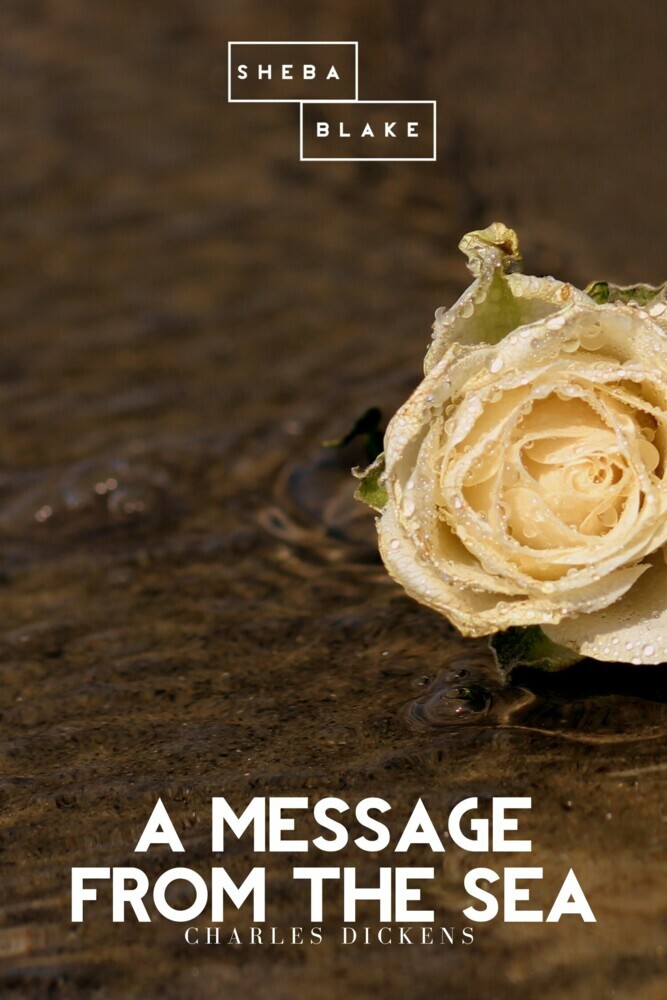 A Message from the Sea main product photo