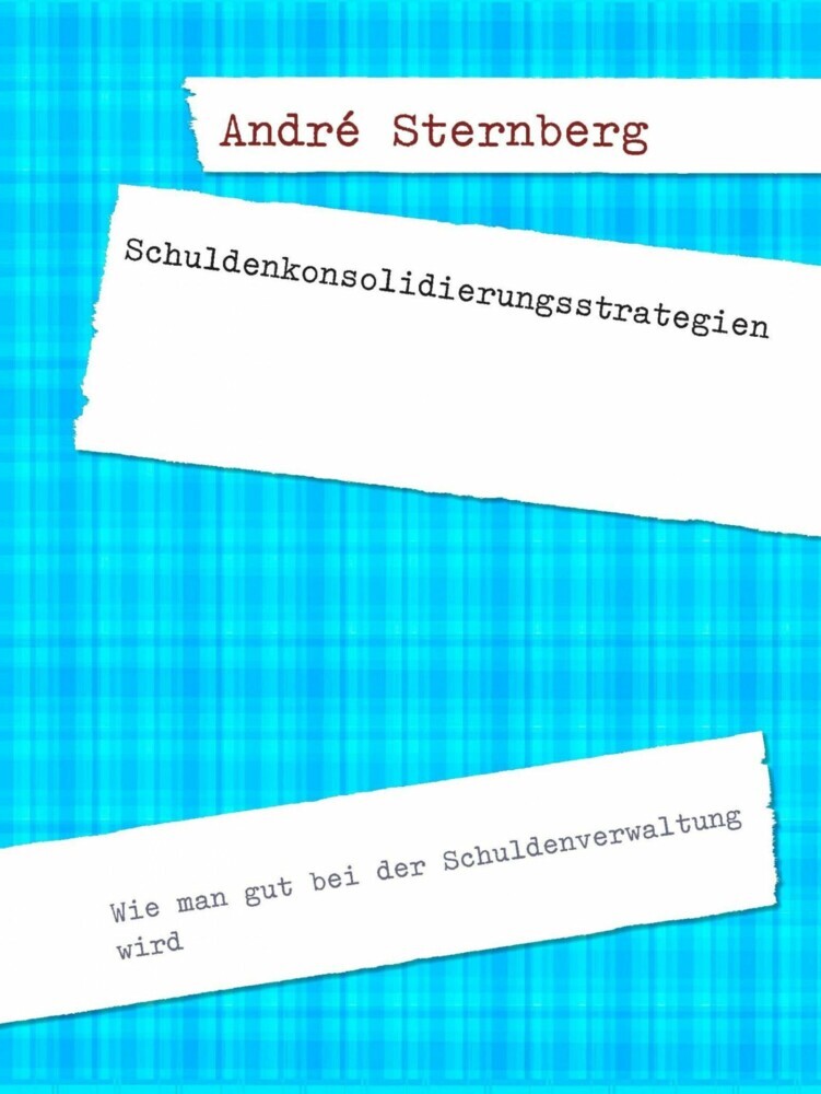 Schuldenkonsolidierungsstrategien main product photo