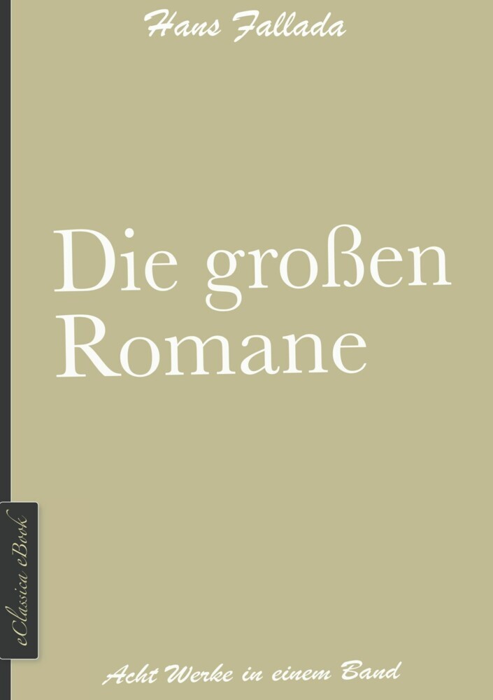 Hans Fallada: Die großen Romane main product photo