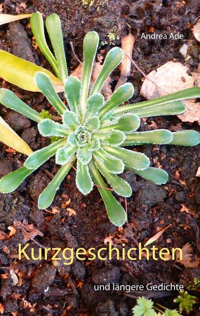 Kurzgeschichten main product photo