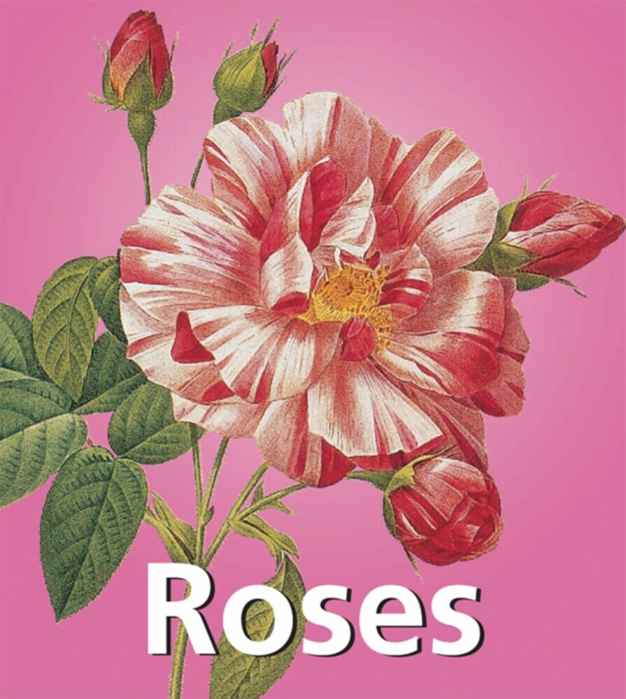 Roses main product photo