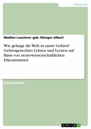 Wie gelangt die Welt in unser Gehirn? Gehirngerechtes Lehren und Lernen auf Basis von neurowissenschaftlichen Erkenntnissen