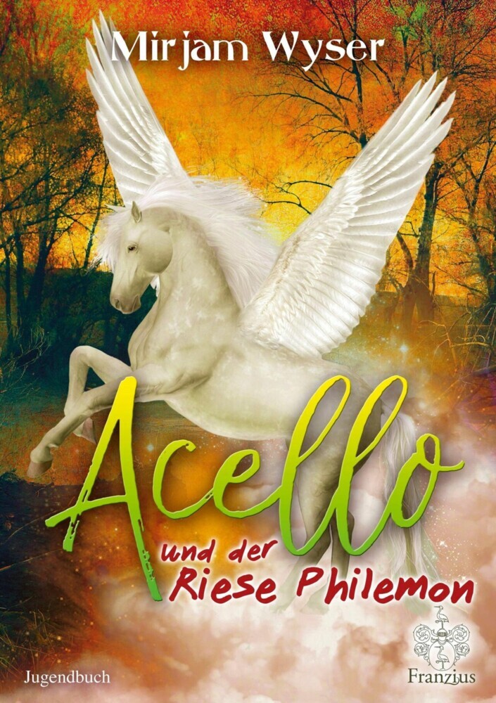Acello main product photo