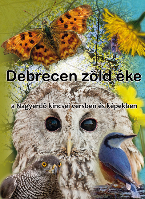 Debrecen zöld éke (The Great Forest) main product photo