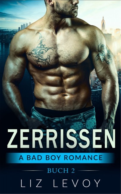 Zerrissen 2 main product photo