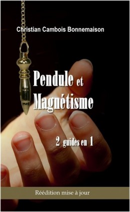 Pendule et magnétisme